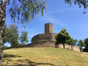 Steinsberg Castle